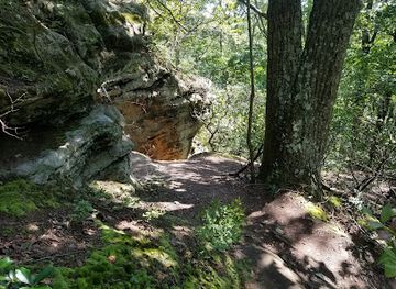 ohio/hocking-hills/attraction/christmas-rocks-state-nature-preserve