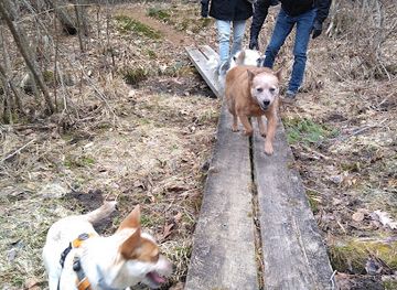 vermont/molly-stark-state-park/attraction/sweet-pond-state-park-parking-lot-and-trailhead