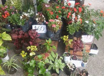 argentina/salta/attraction/paseo-de-la-balcarce