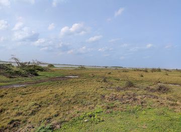 india/andhra-pradesh/attraction/gachakayala-pora-moghha