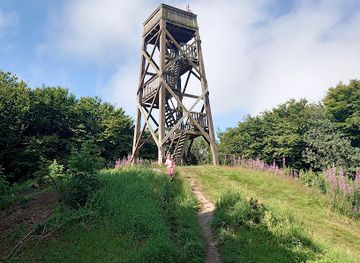 denmark/thy-national-park/attraction/trolden-ask-fra-ashoj