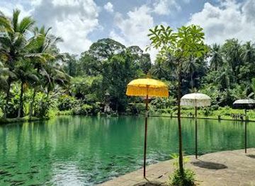 indonesia/bali/attraction/taman-mumbul-sangeh