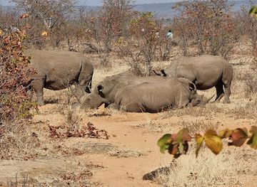 zambia/northern-province/attraction/mosi-oa-tunya-national-park