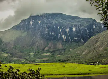 Ciénaga Mono