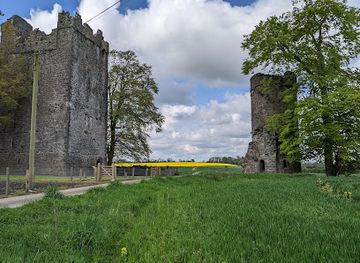 ireland/county-kilkenny/attraction/burnchurch-castle