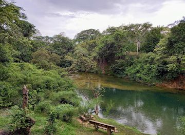 belize/mountain-pine-ridge-forest-reserve/attraction/guanacaste-national-park