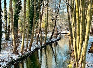 germany/spreewald/attraction/burg-lubbener-kanal-rohrkanal