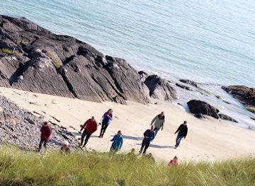ireland/ring-of-kerry/attraction/atlantic-irish-seaweed