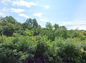 slovenia/gorizia/attraction/grotta-regina-del-carso