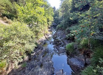 belgium/malmedy/attraction/pont-sur-le-bayehon