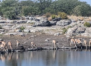 namibia/outjo/attraction/nuamses-waterhole