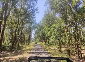 india/madhya-pradesh/attraction/kanha-tiger-reserve