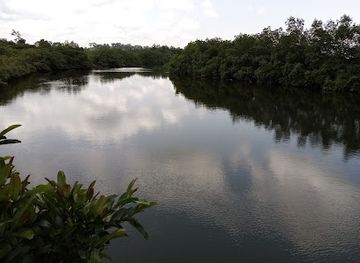 gabon/estuary-province/attraction/gabon-estuary