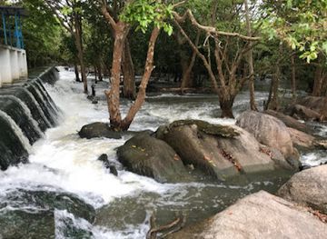sri-lanka/wilpattu-national-park/attraction/thekkam-river-dam-wilpattu-national-park