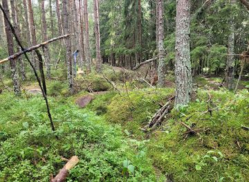 estonia/hiiumaa/attraction/the-cross-hill
