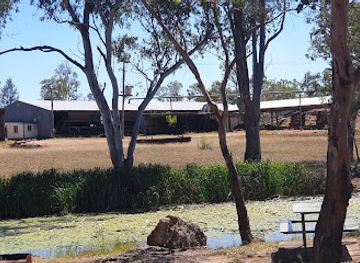 australia/darling-downs/attraction/chinaman-s-lagoon