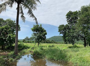 cambodia/kampot/attraction/cs-farm