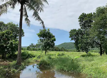 CS Farm