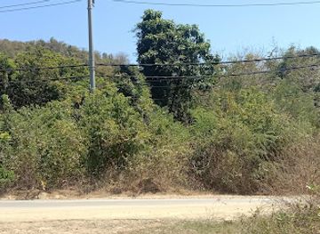 indonesia/komodo-national-park/attraction/tanah-simon-laman