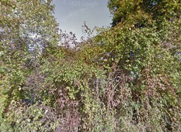 croatia/podravina/attraction/labude-jezero