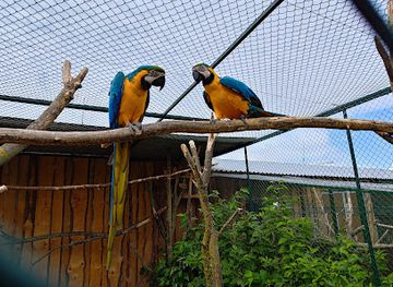 slovakia/horna-nitra/attraction/orina-s-r-o