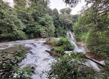 mexico/lacandon-jungle/attraction/reserva-de-la-biosfera-montes-azules