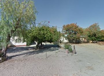 botswana/maun/attraction/t-i-a-this-is-africa-safaris