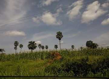 ghana/north-east-region/attraction/kogyae-strict-national-reserve