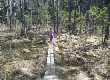 sweden/vastmanland/attraction/fermansbo-urskog