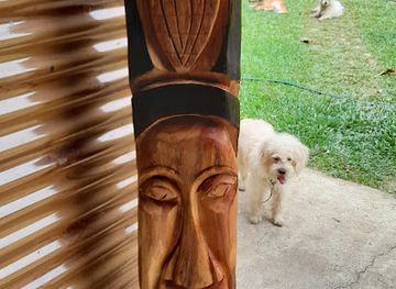 belize/vaca-plateau/attraction/barton-creek-unique-resort-and-camp-ground