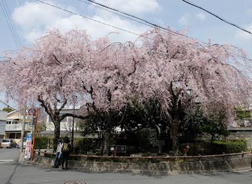 japan/nara/attraction/daibutsu-tetsudo-memorial-park