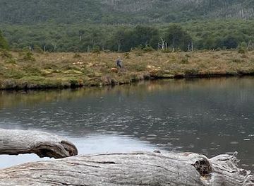 argentina/ushuaia/attraction/laguna-victoria