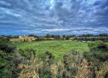 malta/zejtun/attraction/ic-cirku