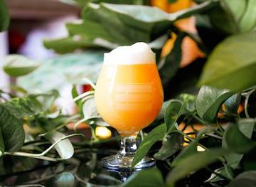 texas/austin/attraction/st-elmo-brewing-company