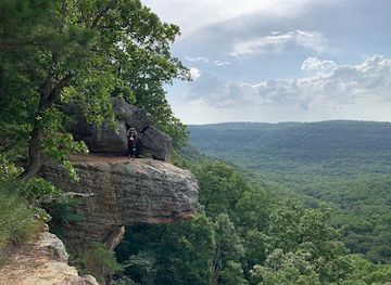 arkansas/arkansas-highland/attraction/hawksbill-crag-whitaker-point