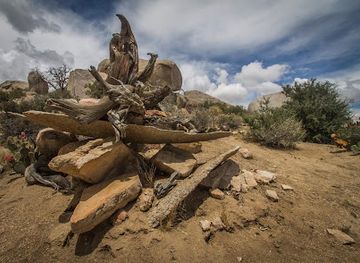 california/joshua-tree-national-park/attraction/boulder-gardens-sanctuary