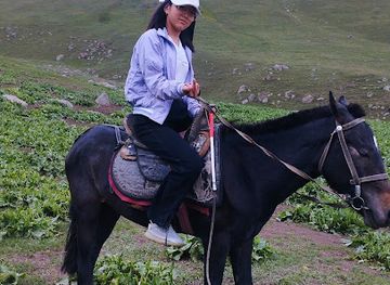 kyrgyzstan/son-kul-lake/attraction/a-travel-song-kol