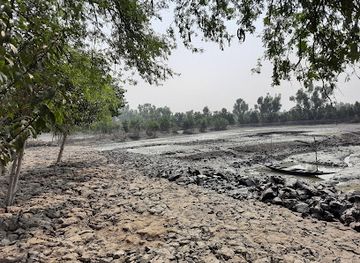 bangladesh/sundarbans-national-park/attraction/community-based-tourism-shyamnagar