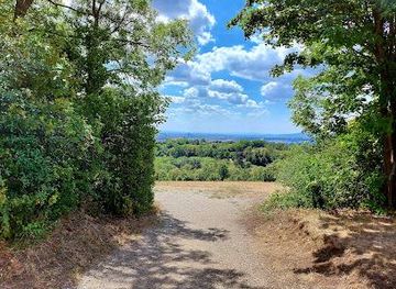 austria/eisenstadt/attraction/am-cobenzl