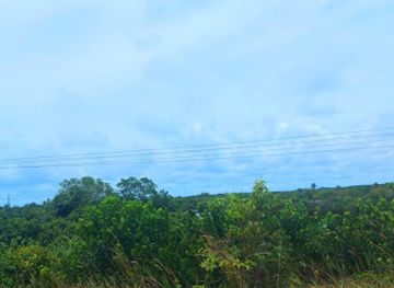 ghana/axim/attraction/ebi-mangrove