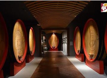 italy/verona/attraction/pagus-wine-tours