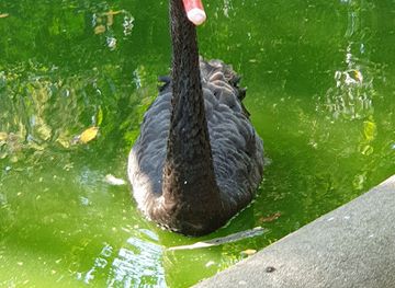 france/languedoc/attraction/parc-sans-souci