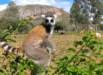 madagascar/atsimo-andrefana/attraction/anja-community-reserve