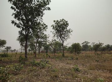 nigeria/onitsha/attraction/unizik-forest-and-wildlife-conservation-area-3