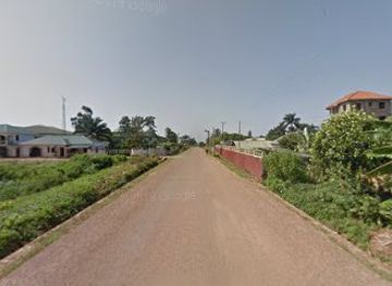 uganda/entebbe/attraction/zzike-tropical-safaris