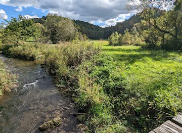 wisconsin/driftless-area/attraction/duck-egg-county-forest