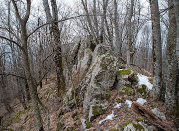 croatia/podravina/attraction/vrani-kamen