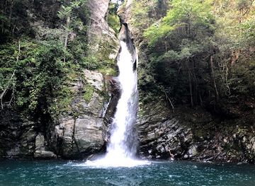 japan/shikoku-island/attraction/kisakigabuchi-waterfall