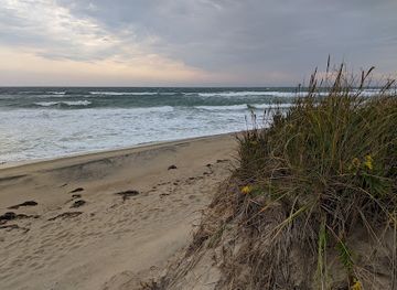 massachusetts/martha-s-vineyard/attraction/long-point-wildlife-refuge