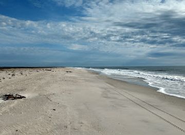 north-carolina/cape-fear-coast/attraction/masonboro-island-reserve